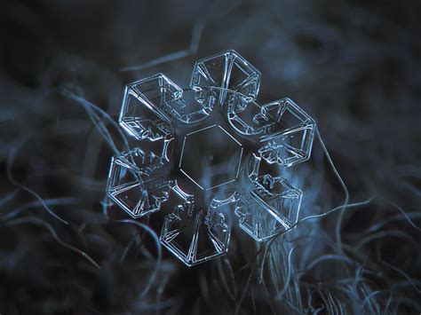 Macro Photography of Snowflakes [13 Pics] | I Like To Waste My Time