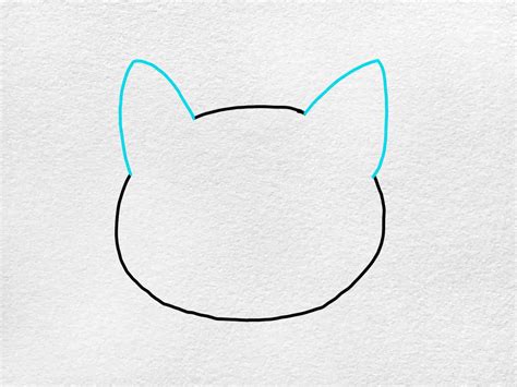 Easy Cat Face Drawing - HelloArtsy