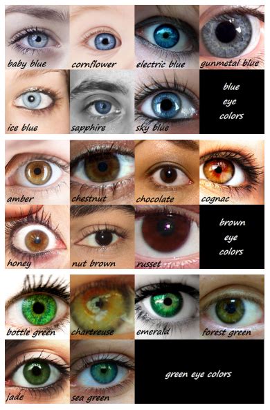 I'm forest green. :D Comment your eye color! | Eye color chart, Writing ...