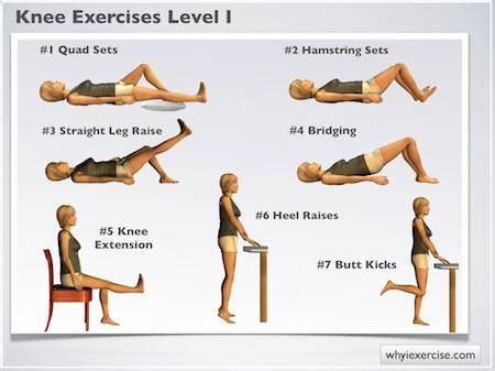 Exercises To Strengthen Ankles And Knees – Online degrees