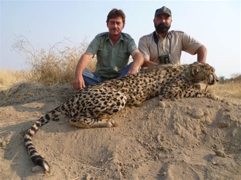 Hunting Cheetah - Hunting Namibia