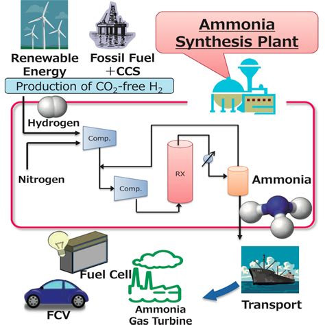 Ammonia Synthesis