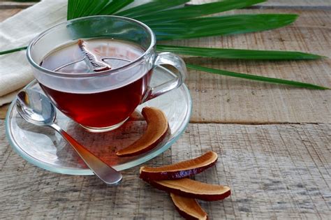 Premium Photo | A cup of lingzhi mushroom tea or reishi mushroom