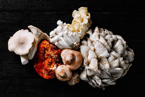 14 Types of Mushrooms and their Uses | Epicurious