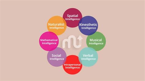 Types of Multiple Intelligences - Gardner's Theory - MentalUP