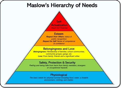 44 Maslow’s Hierarchy of Needs Examples (2024)