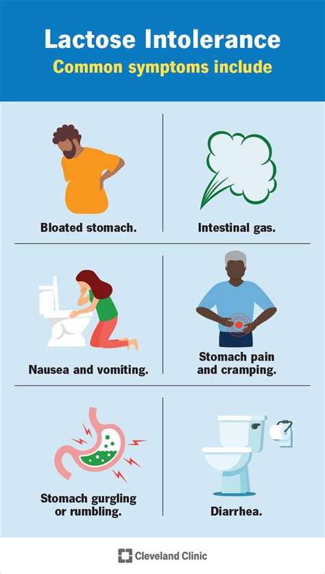 Risk Factors And Precautions For Lactose Intolerance - Ask The Nurse Expert