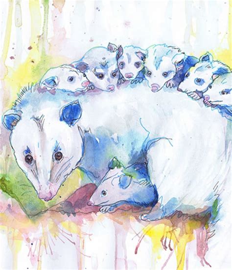 Opossum Animal Art Possum Watercolor Painting Woodland Nursery | Etsy