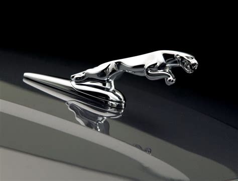 Jaguar Logo, Jaguar Car Symbol Meaning and History | Car Brand ...