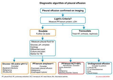 Pleural Effusion In Critically ill Patients | RECAPEM