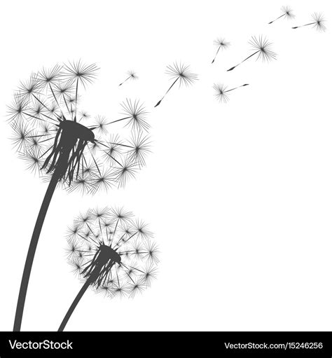 Dandelion Svg