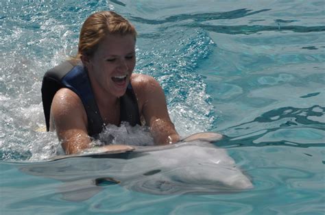 Swim with dolphins at Sea Life Park Hawaii, Oahu, Hawaii | Nancy D Brown