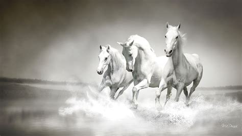 Horse Wallpapers | Best Wallpapers