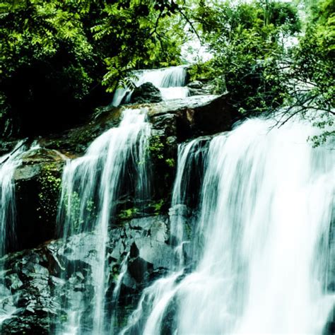 Chikkamagaluru | Mullayyanagiri peak | Karnataka Tourism