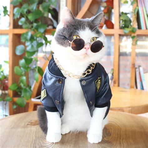 Pet Clothes Cat Clothing for Pets Princess Spring/Summer Fashion Pet ...