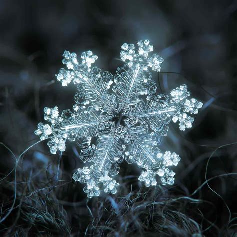 Macro Photos of Snowflakes Show Impossibly Perfect Designs