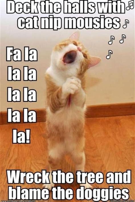 funny cat songs, christmas pictures | Furr Babies | Funny animal quotes ...