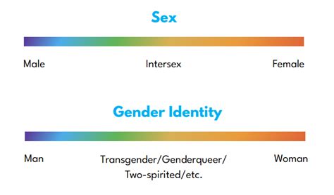 Gender Inclusivity Begins With Recognizing and Understanding the Gender ...