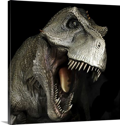 Tyrannosaurus Rex Dinosaur Head, Front View Wall Art, Canvas Prints ...