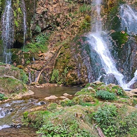 Zlatibor Mountain Tour - Serbian Tour Guide