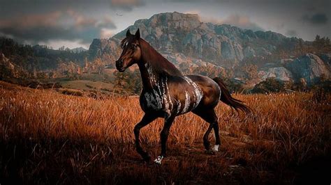 This beautiful Warped Brindle Arabian #rdr #rdr2 #rdrphotography # ...