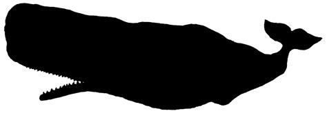 Free Black Whale Cliparts, Download Free Black Whale Cliparts png ...