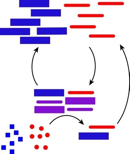 Life | Special Issue : The Origins and Early Evolution of RNA