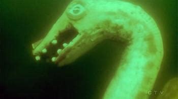 Ogopogo, Okanagan Lake Monster Statue 25 feet below the surface : r ...