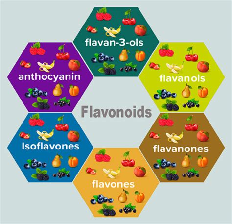 Flavonoids help reduce blood pressure-especially when gut health is ...