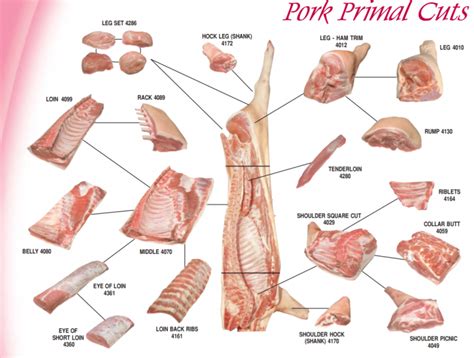 Pork Cuts Chart | Ask John The Butcher