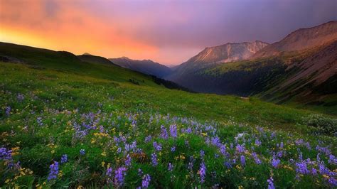 Valley Landscape HD [1920 × 1080] : wallpaper