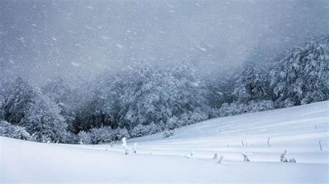 Storm could bring up to 50 inches of snow to West - ABC7 San Francisco