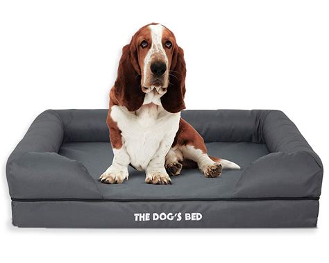 12 Best Orthopedic Dog Beds for Arthritis - Hey, Djangles.