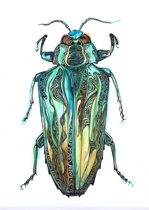 Pen and ink beetle on watercolour paper | Science Art | Pinterest ...