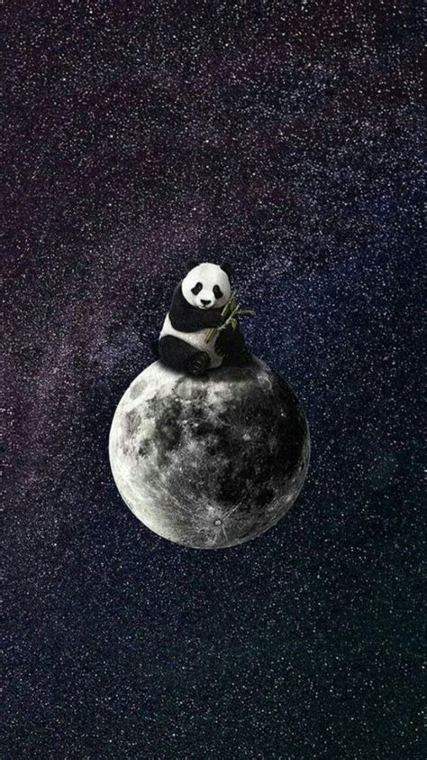 Panda Wallpaper for mobile phone, tablet, desktop computer and other ...