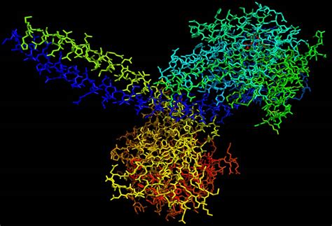 Kinesin Esthetics - Famous Proteins in Frames