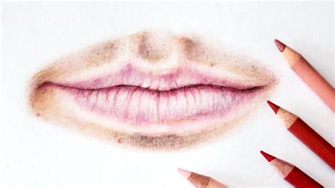 Drawing, Shading Realistic Male Lips using Coloured Pencils I Timelapse ...