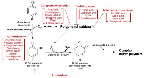 Molecules | Free Full-Text | Recent Trends in Controlling the Enzymatic ...