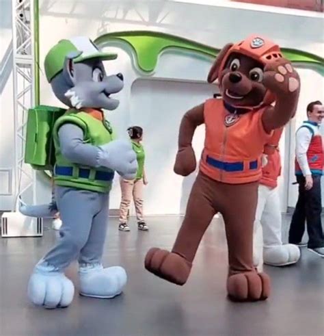 Paw Patrol mascots in 2023 | Paw patrol characters, Mascot, Paw patrol