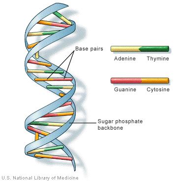 Medicine Through Time - History GCSE - Everything YOU Need to Know ...