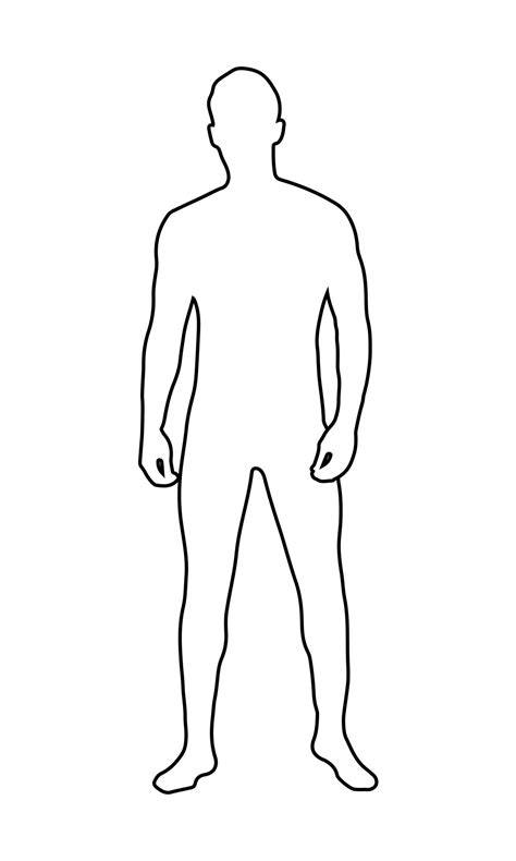 Male Body Drawing Template