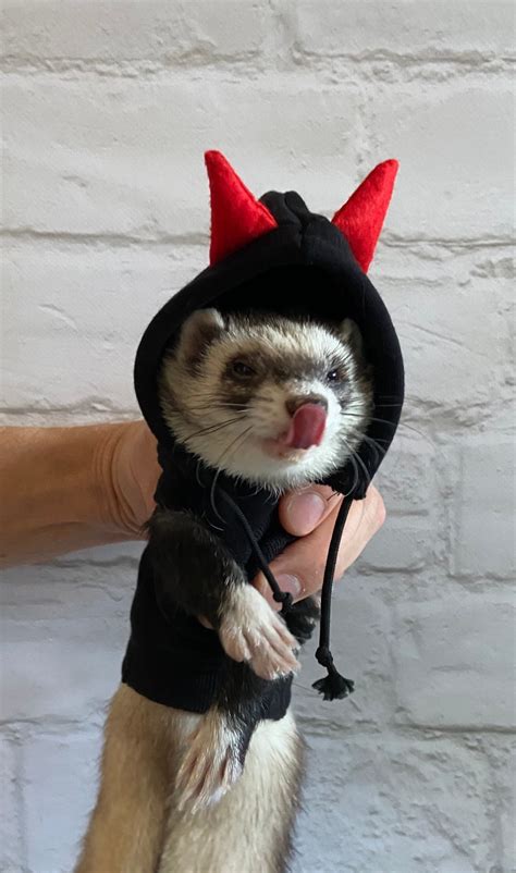 Devil's Amazing Ferret Costume. ferret costume ferret | Etsy