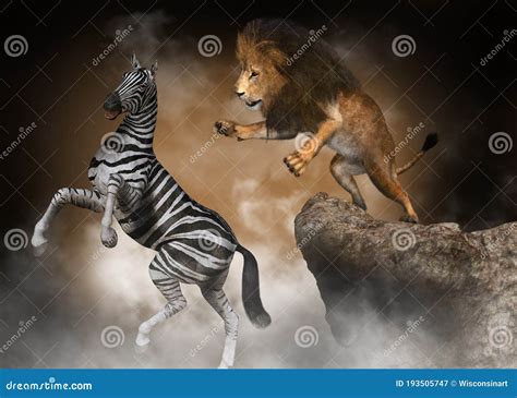 Lion Attack Zebra, Nature, Wildlife, Africa Stock Image - Image of lion ...