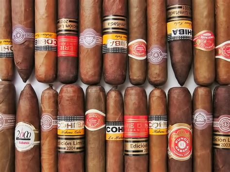 Top 10 Best Cuban Cigar Brands for Cigar Aficionados – All Best Top 10 ...