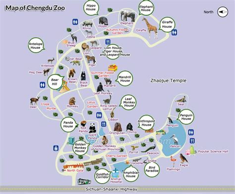 Chengdu Zoo, Sichuan: Panda, Map, How to Get There