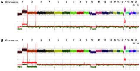 Results of SNP array analysis in (A) primary sample and (B) relapsed ...