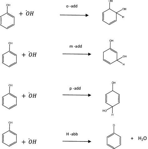 Four possible reaction paths of the phenol and hydroxyl radical ...