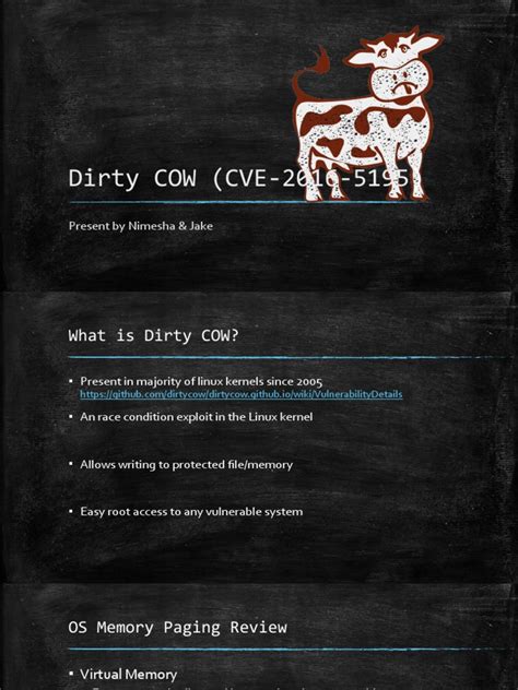 The Dirty COW Vulnerability: An Analysis of a Race Condition Exploit ...