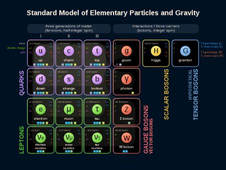 Quark Definition, Flavors & Matter - Lesson | Study.com