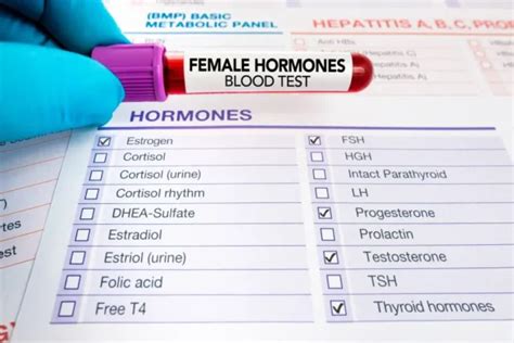 Estrogen Levels Test – HIVVE Blockchain Transforming Your Health